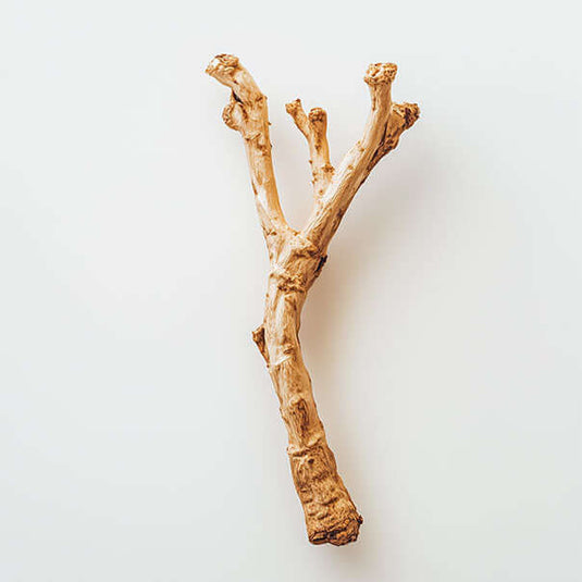 ashwaghanda on a white background