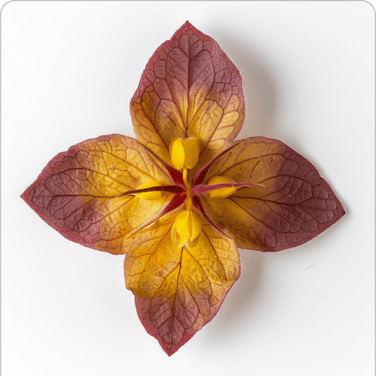 Artificial flower with red and yellow petals on a white background